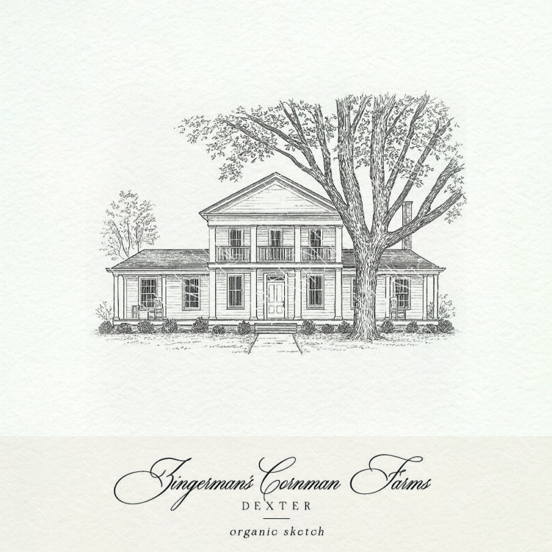 Sketch of Zingerman's Cornman Farms for Dexter wedding stationery