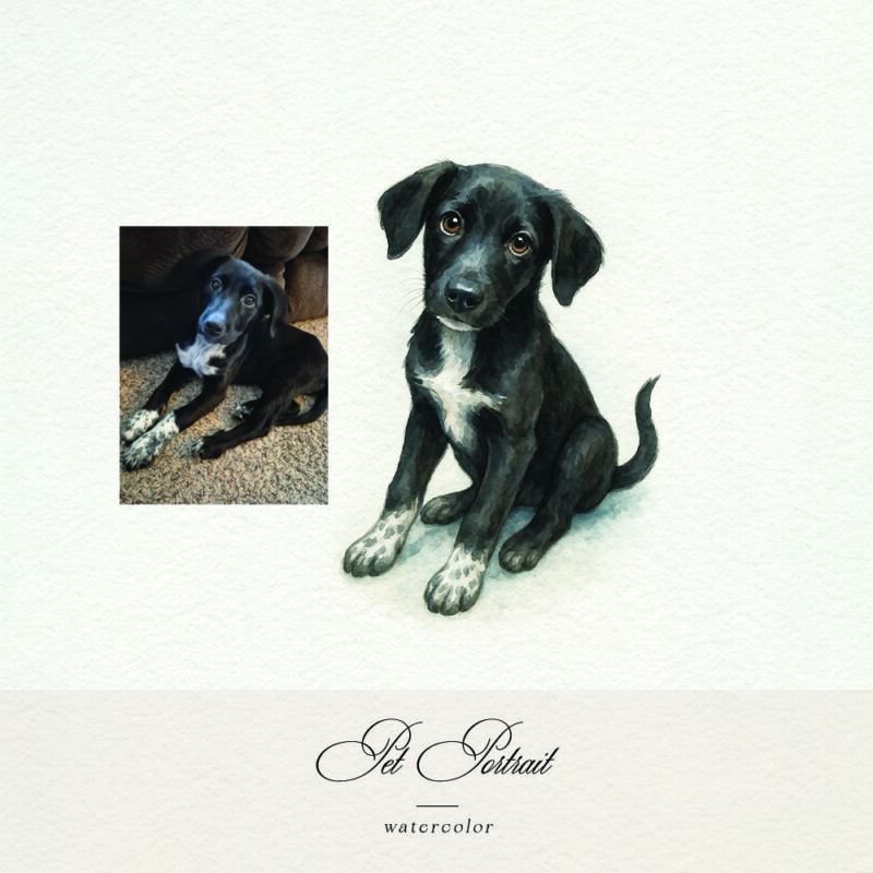 Watercolor pet portrait