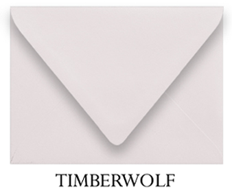 just-envelopes_0005_Layer-6