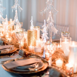 View More: https://tiffanydaniellephoto.pass.us/styled-shootcandle-lit-christmas