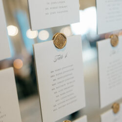 A_V_Reveal_Cake_Cutting-6774