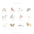 animals